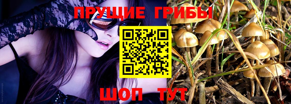 Галлюциногенные грибы мухоморы  Вход с VPN  Гусиноозёрск 