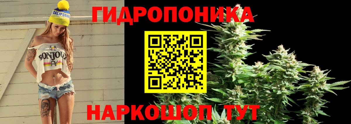 Каннабис планчик  Вход с VPN  Каннабис конопля  Шишки марихуана MAZAR  Канабис SATIVA & INDICA  Гусиноозёрск 